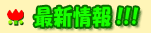 �ŐV���I�I�I