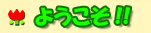 �悤����!!
